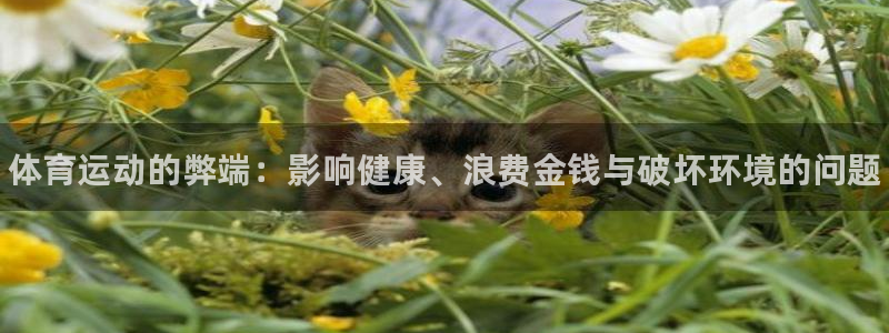 MK体育官方正版app集团官网首页网址:体育运动的弊端:影响