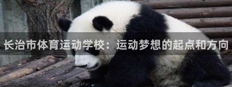 MK体育官网下载招商电话是多少号码:长治市体育运动学校:运动