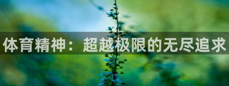 注册MK体育官方正版app:体育精神:超越极限的无尽追求