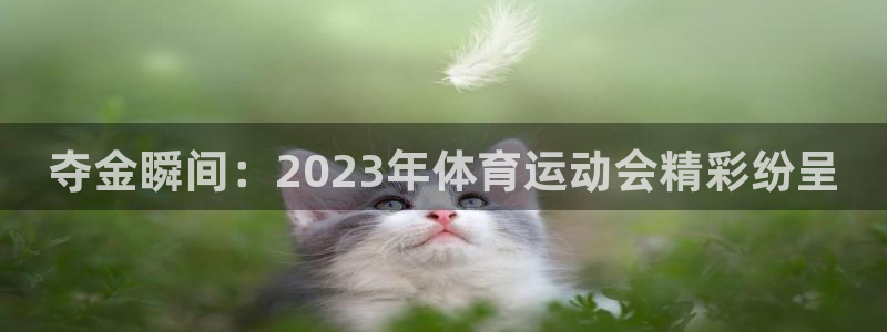 MK体育官网下载平台:夺金瞬间:2023年体育运动会精彩纷呈